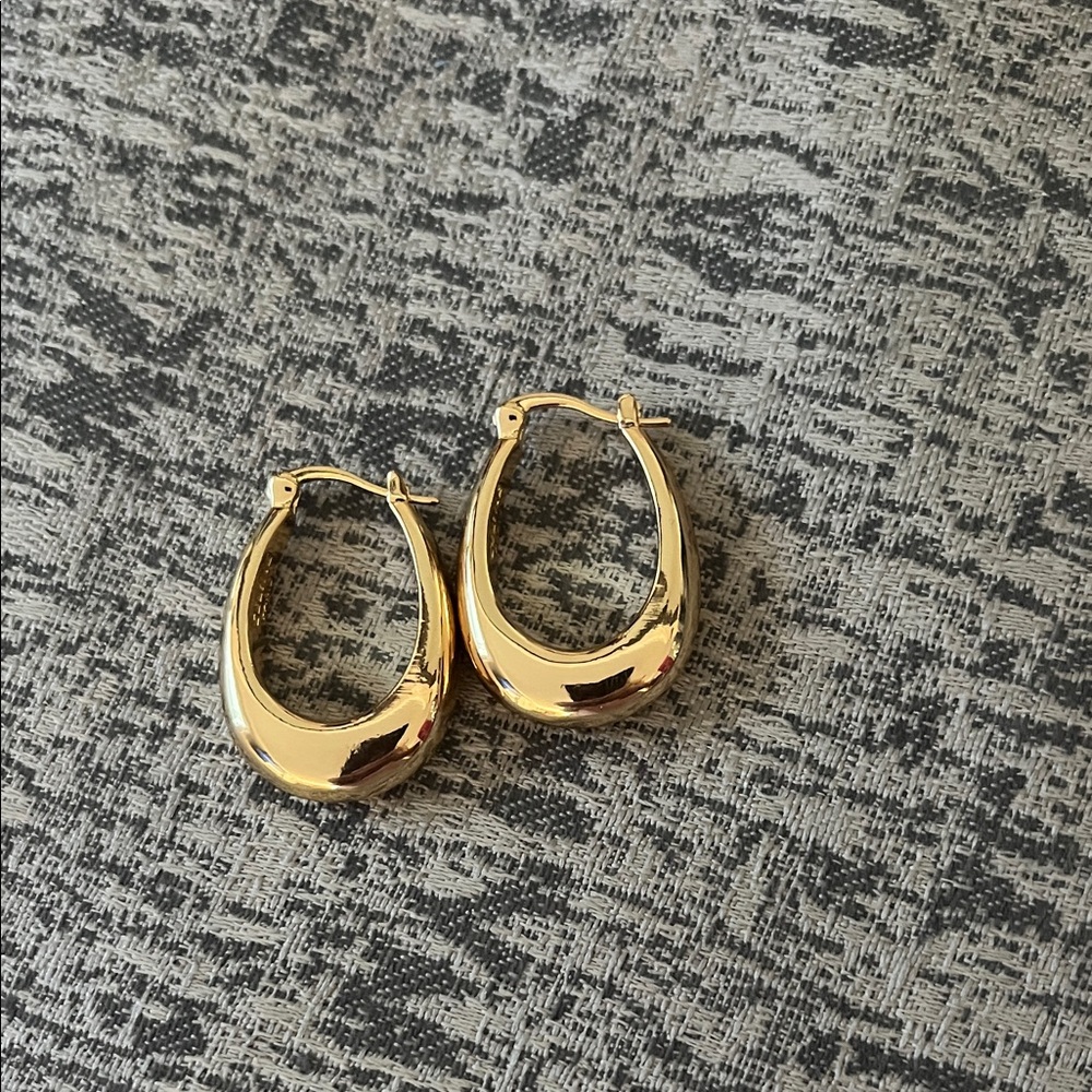 Elegant Gold Hoop Earrings